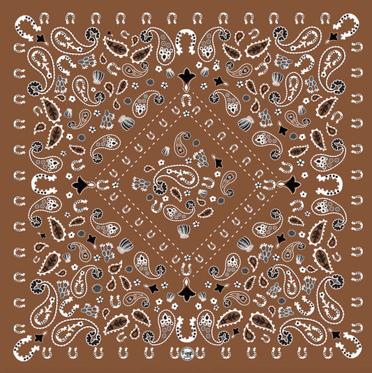 Luck Be A Paisley - Bandana