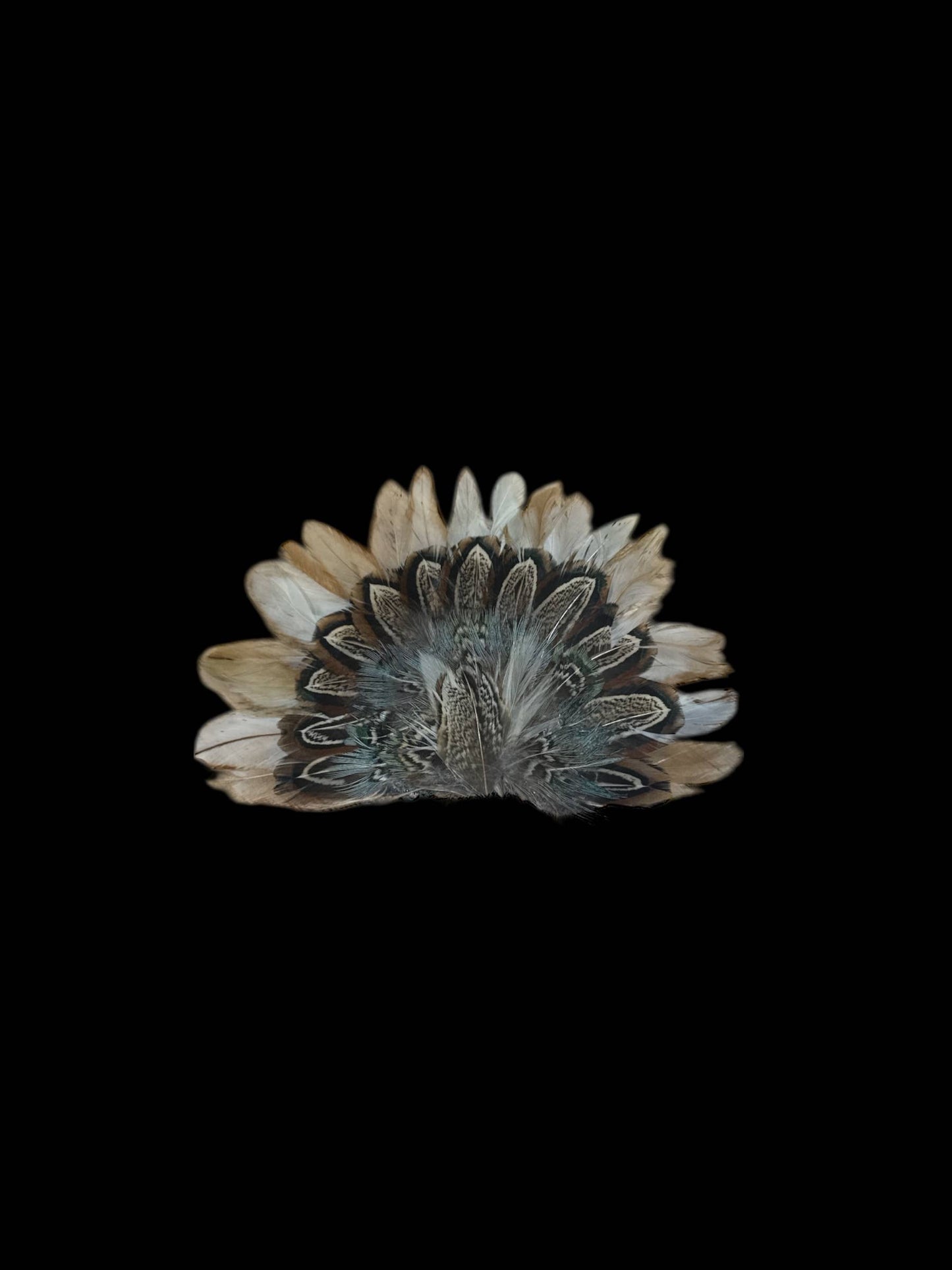 Crown Feather for hats: CF05