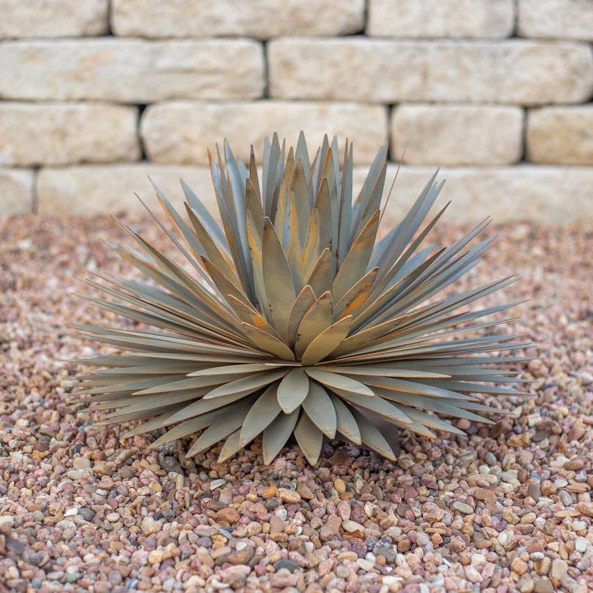 Yucca Succulent: Small