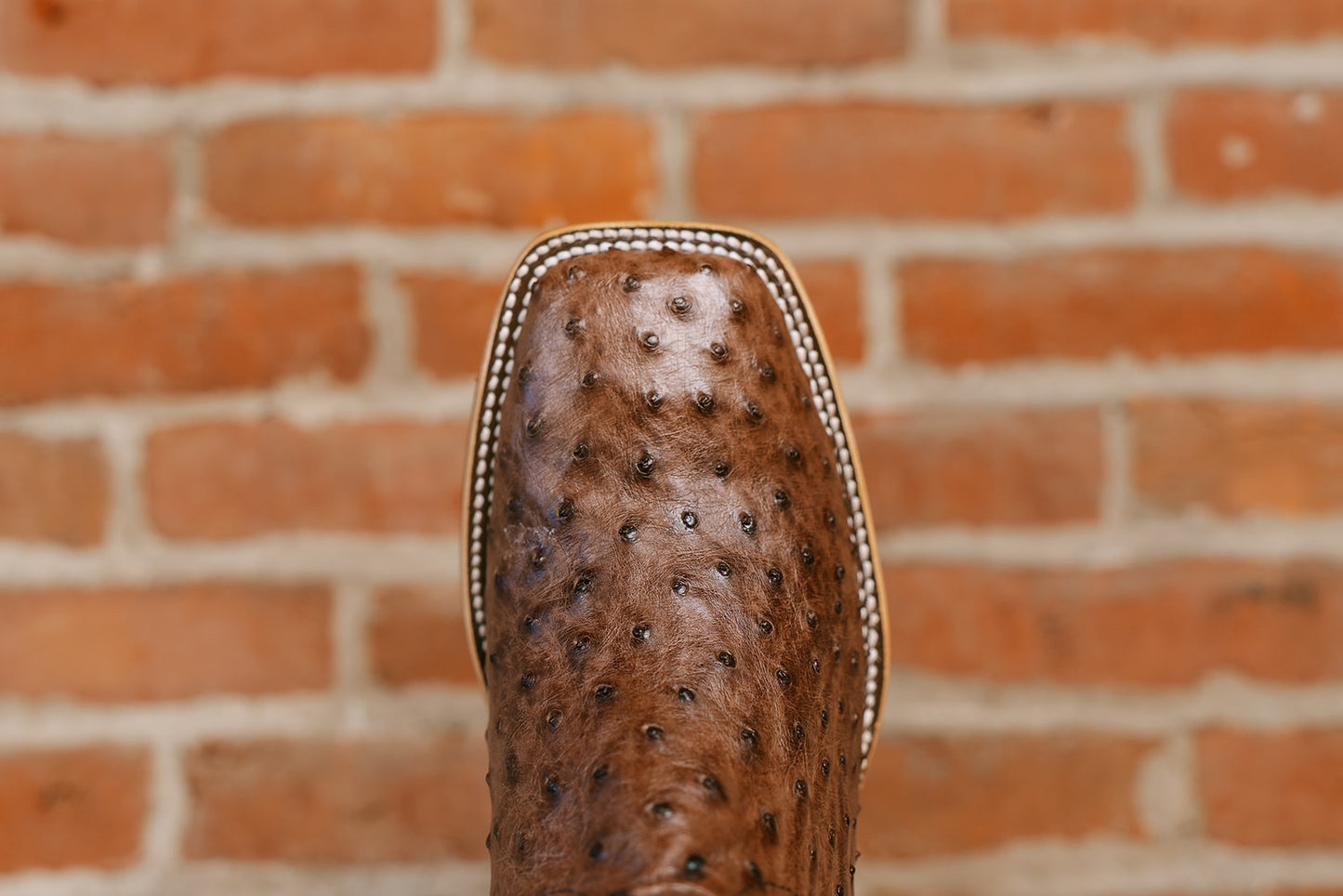 Kango Tobacco Full Quill Ostrich - Square Toe