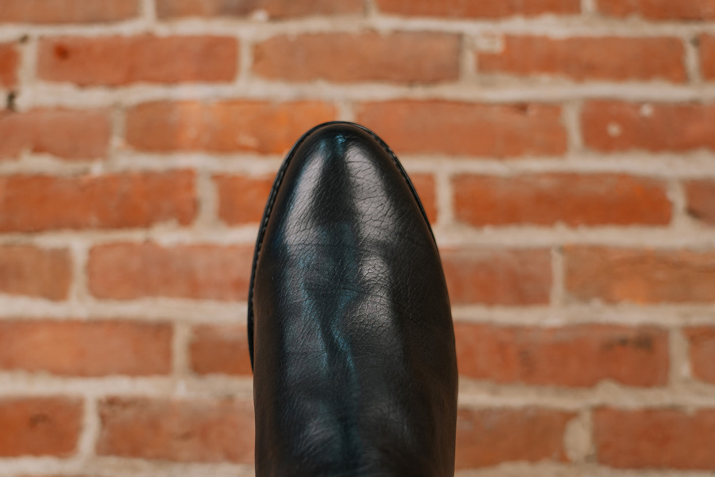 Cash Zip Roper - Black