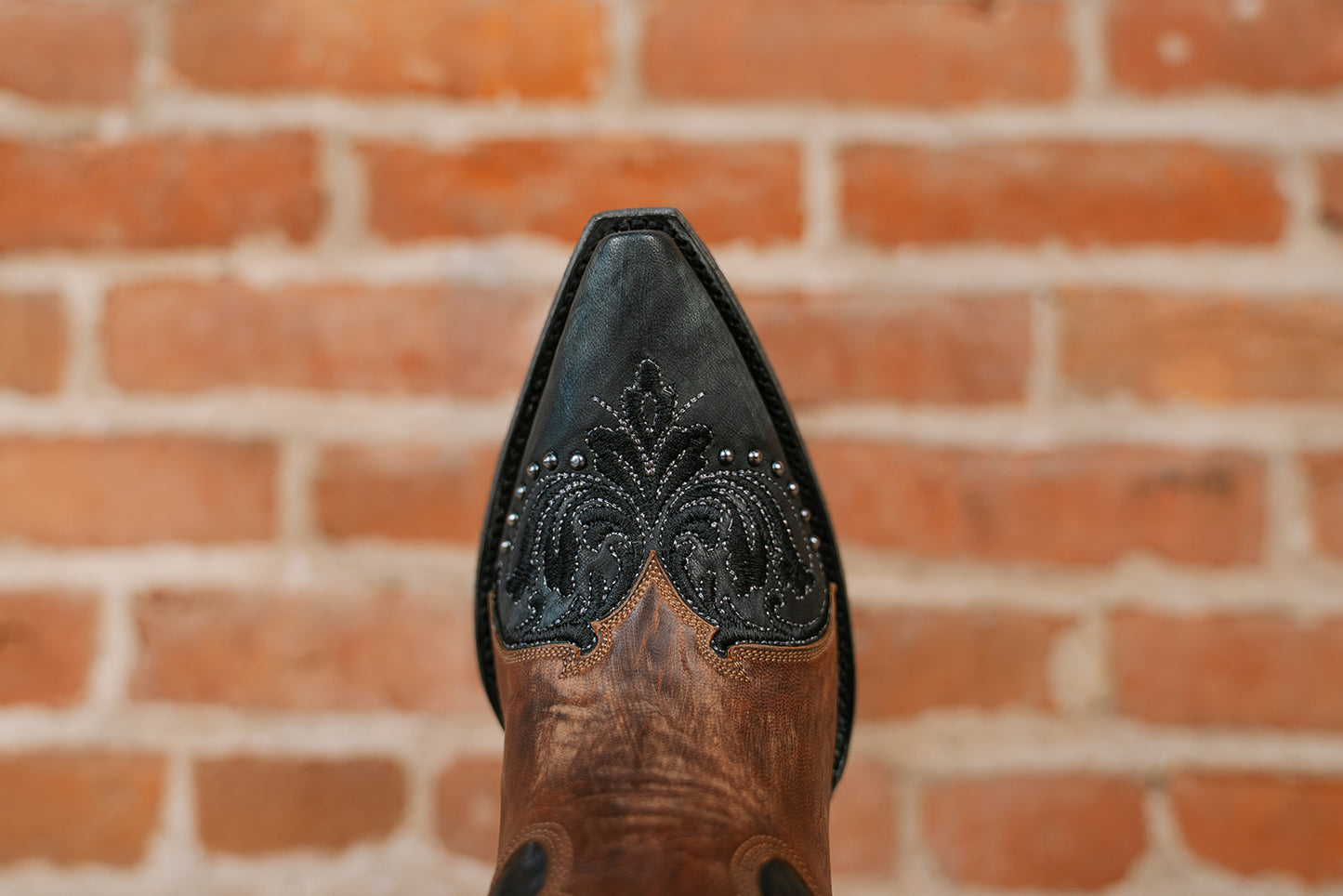 Old Gringo - Tessa Tall Boot