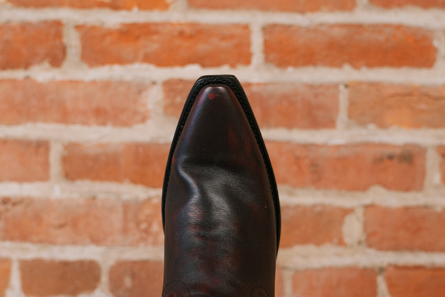 Emma Jane Bootie - Black Cherry