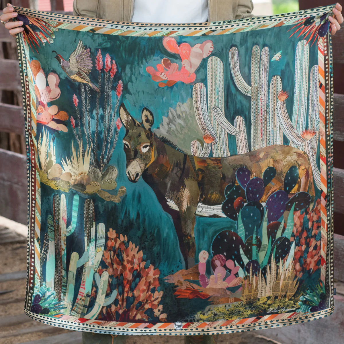 Burro Country