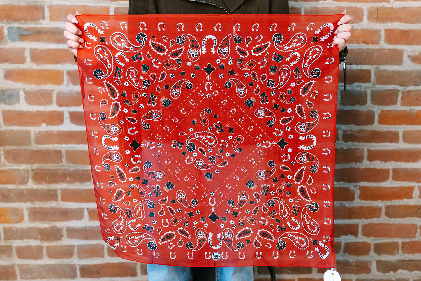Luck Be A Paisley - Bandana