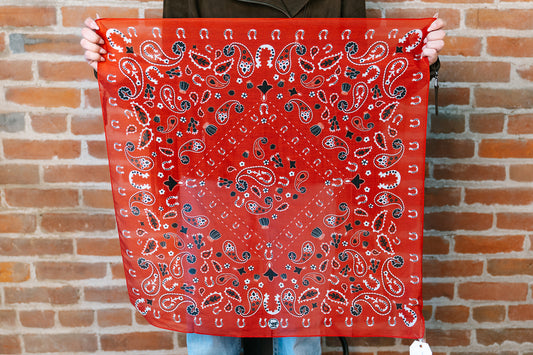 Luck Be A Paisley - Bandana