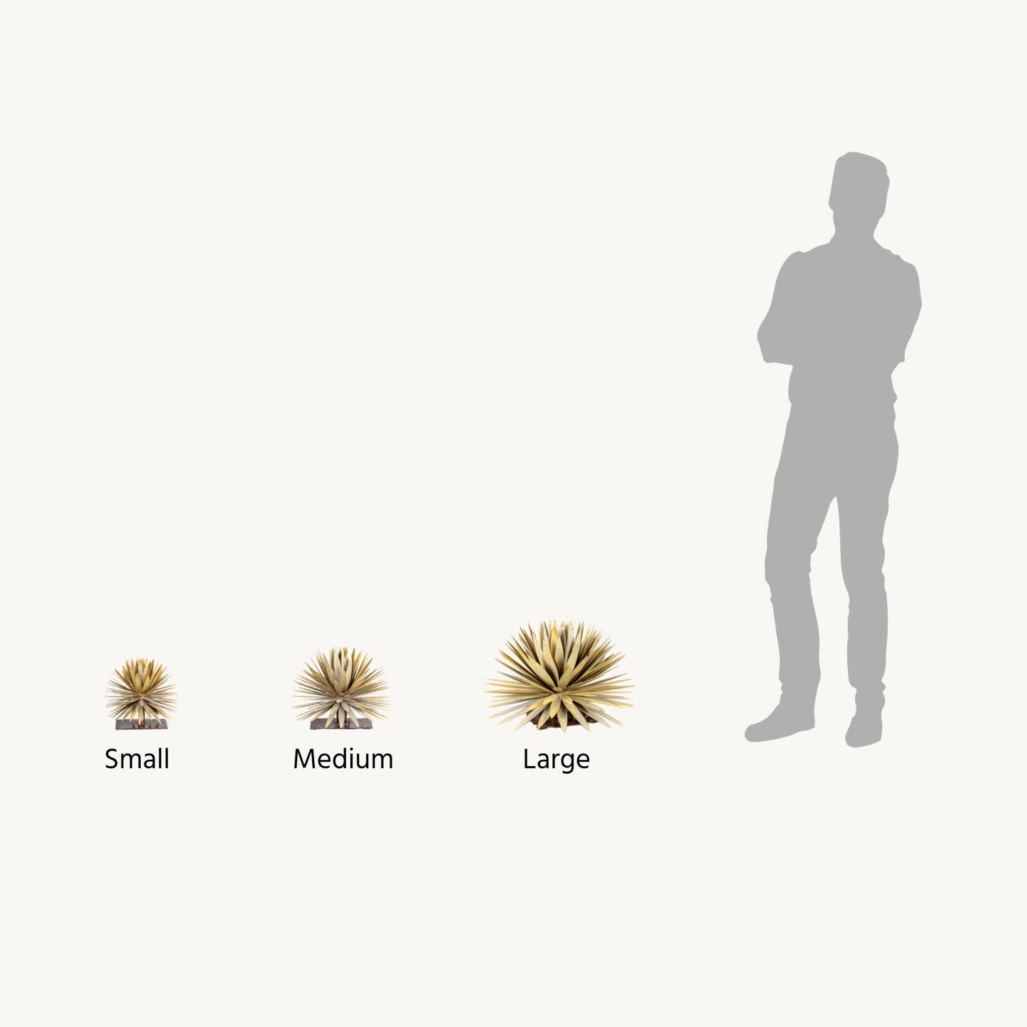Yucca Succulent: Small