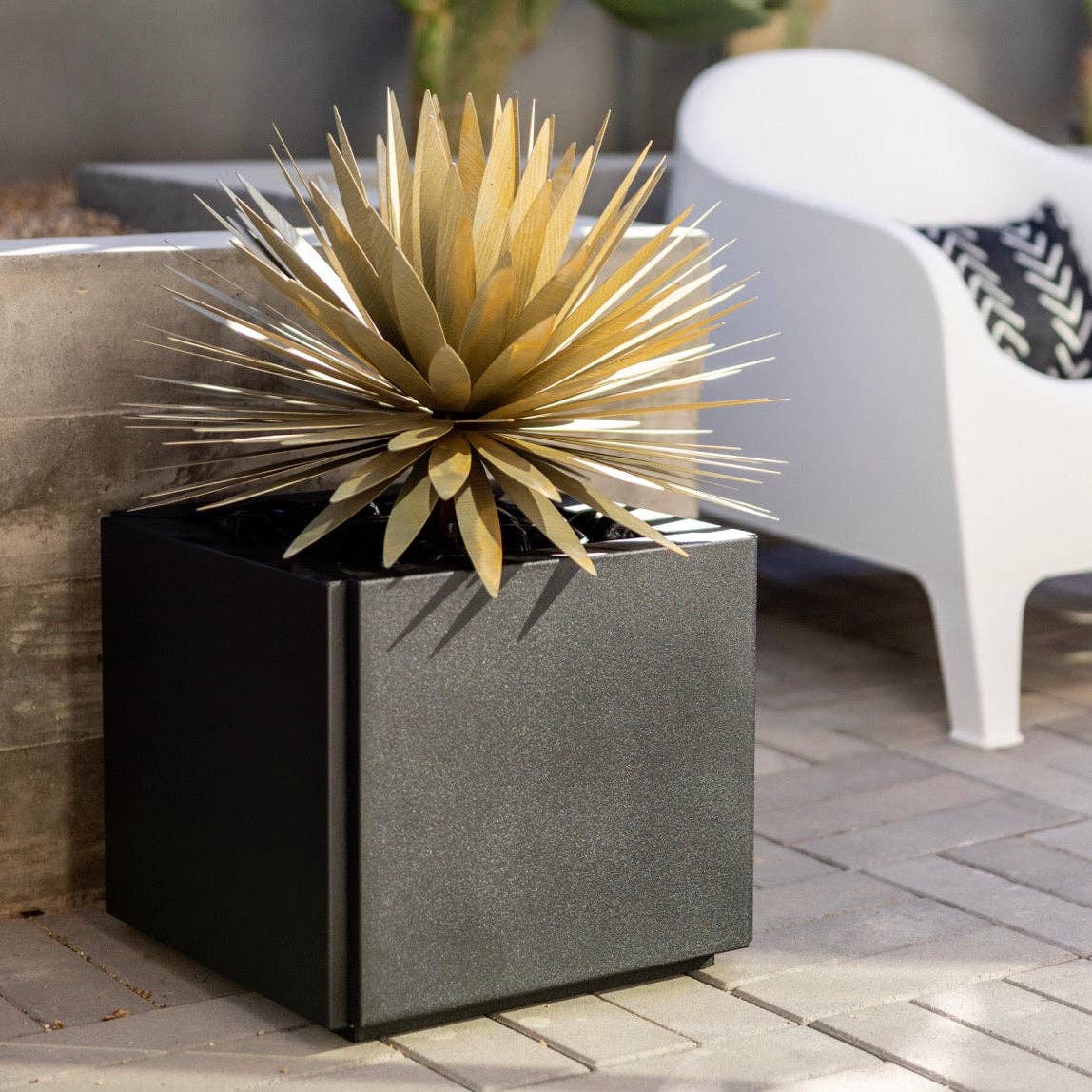 Yucca Succulent: Small