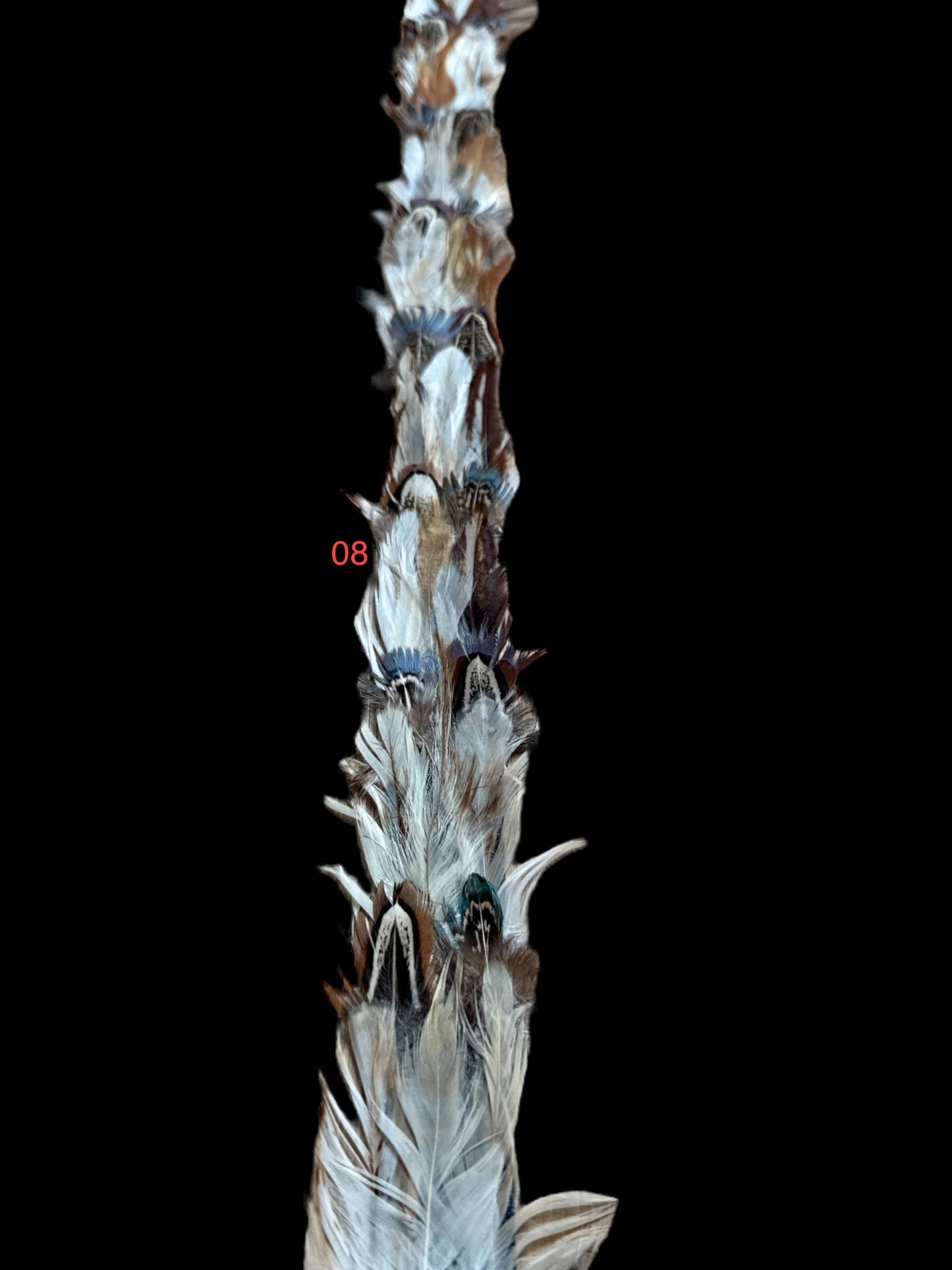 Thin Feather hat band with strap