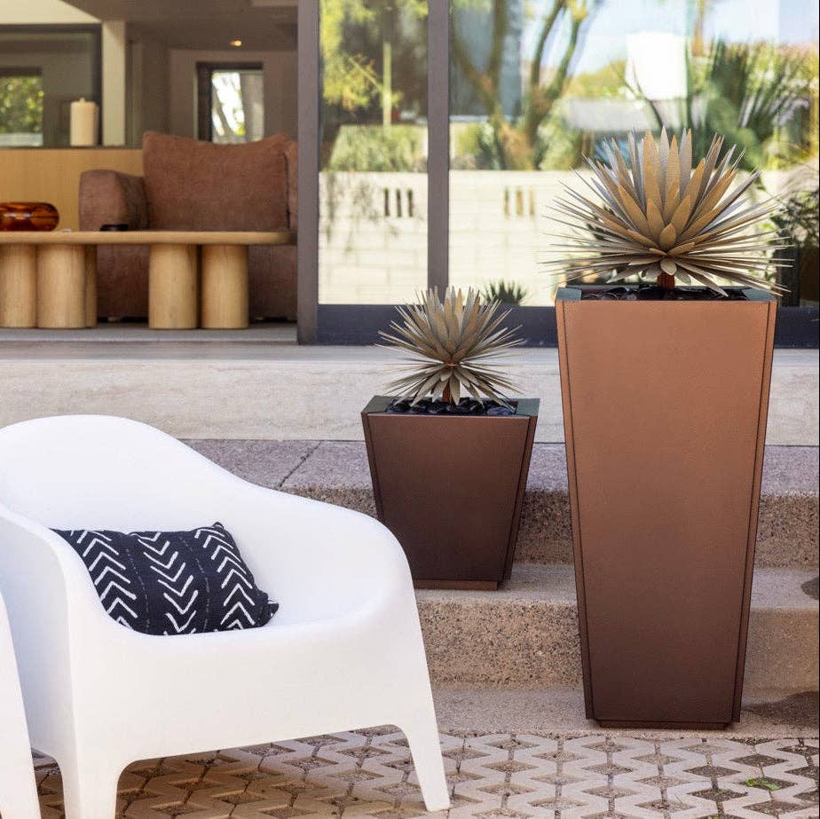 Yucca Succulent: Small
