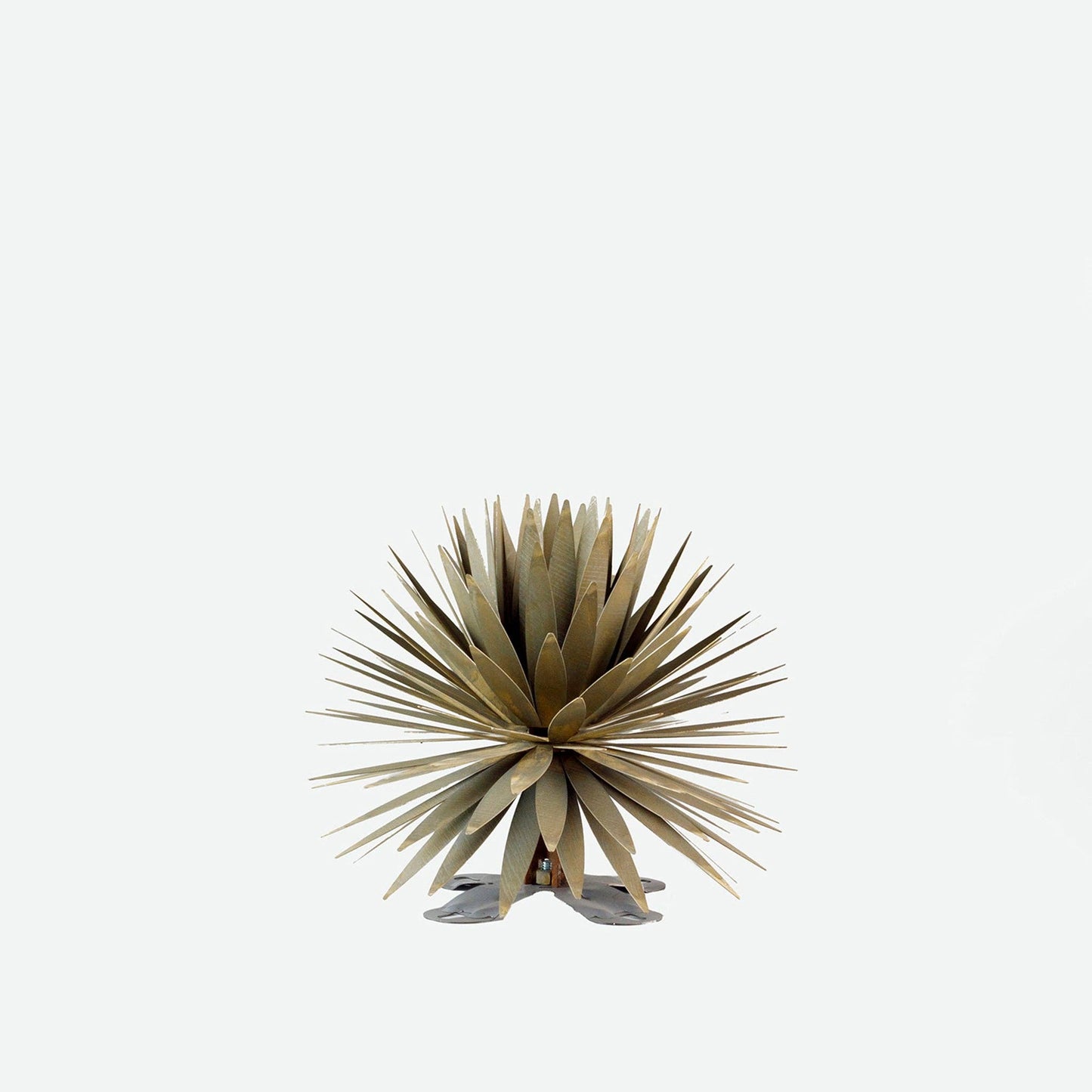 Yucca Succulent: Small